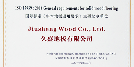 國標起草，權(quán)威保障