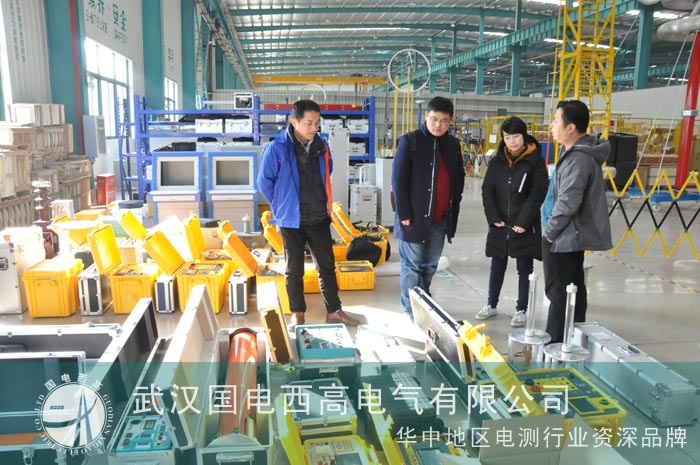 國(guó)電西高迎來(lái)山東泰開(kāi)客戶的考察