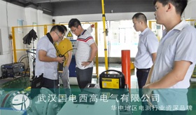 遼河油田電力公司到訪國(guó)電西高考察