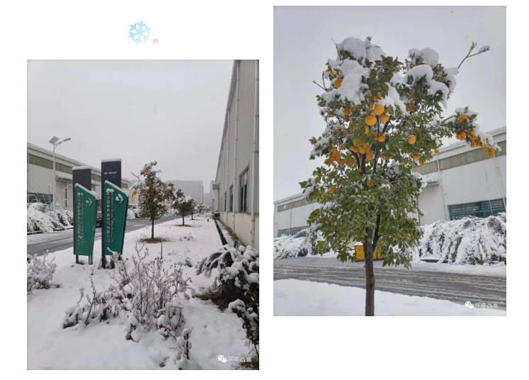 局部放電檢測儀，串聯(lián)諧振，SF6氣體檢漏儀