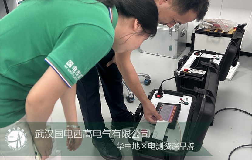 聚焦國(guó)際市場(chǎng) 國(guó)電西高檢測(cè)設(shè)備順利完成出口發(fā)貨